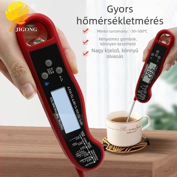 Record Work BBQ-hoz élelmiszer-digitalis hőmérő – szonda típusú, toll-stílusú, vízálló, összecsukható