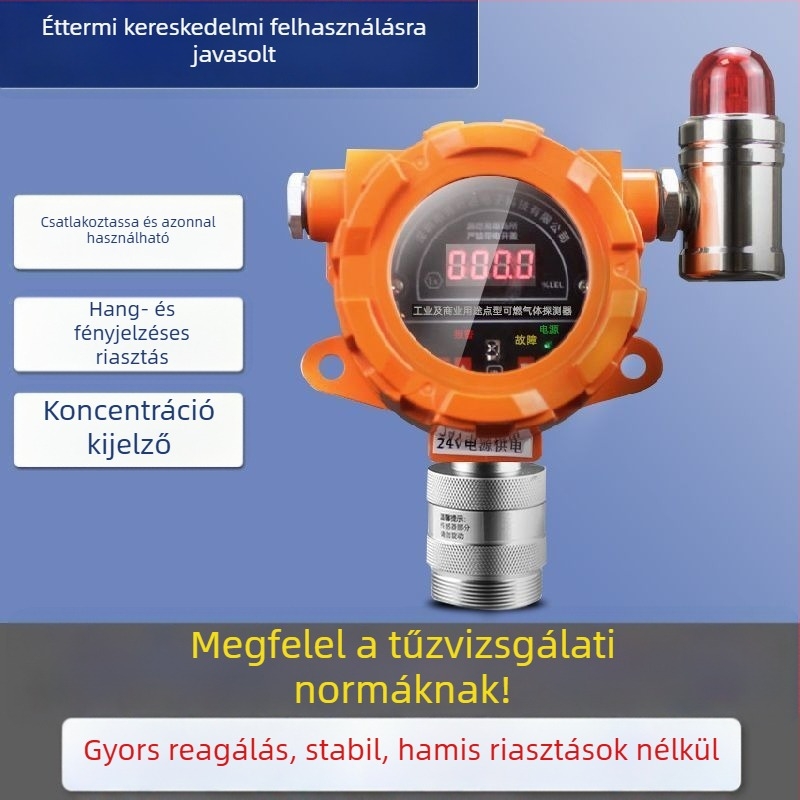 Rögzített éghető gázszivárgás-riasztó ipari/kereskedelmi felhasználásra, 5–100% LEL, ±3% LEL, 220V, dugós tápegység, modell Industrial gas alarm (ABS)