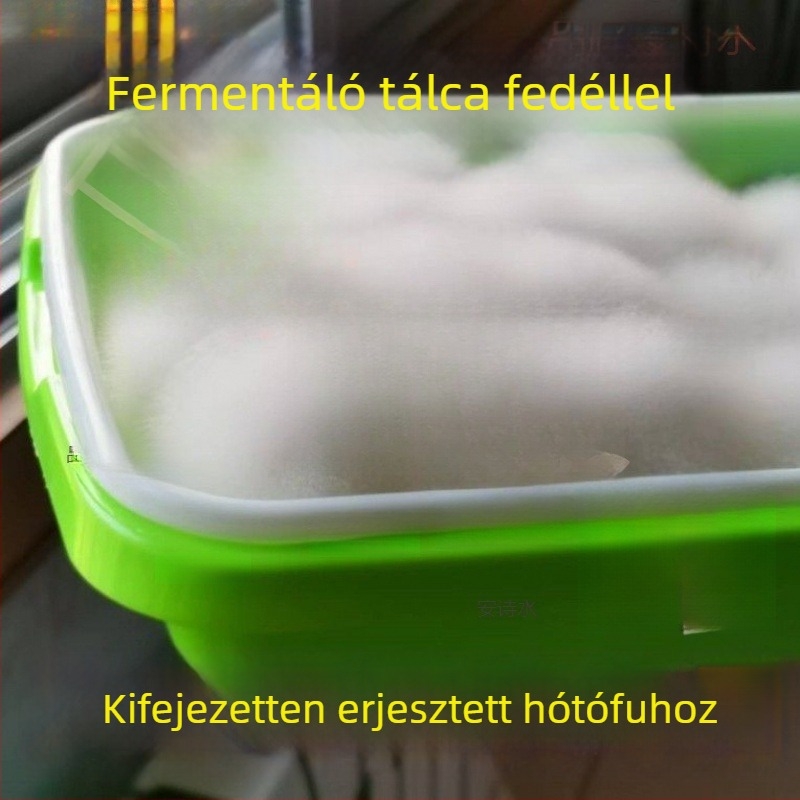 Fedéllel ellátott erjesztő tál penészes tofu készítéséhez