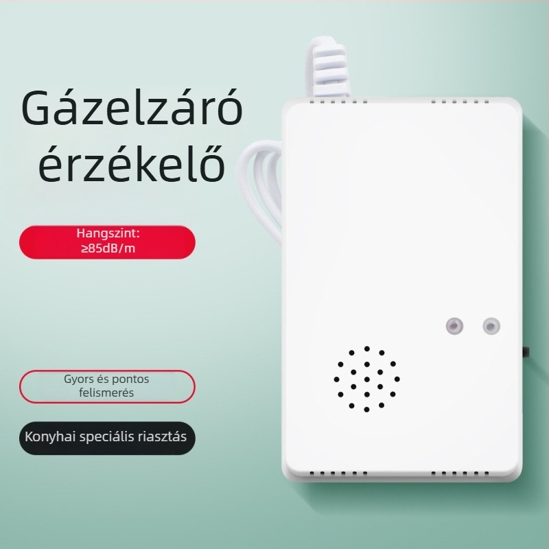 Fali szerelésű éghető gáz detektor GA002EU, rögzített típus, szén-gáz és földgáz mérésére, 220V, 150 g