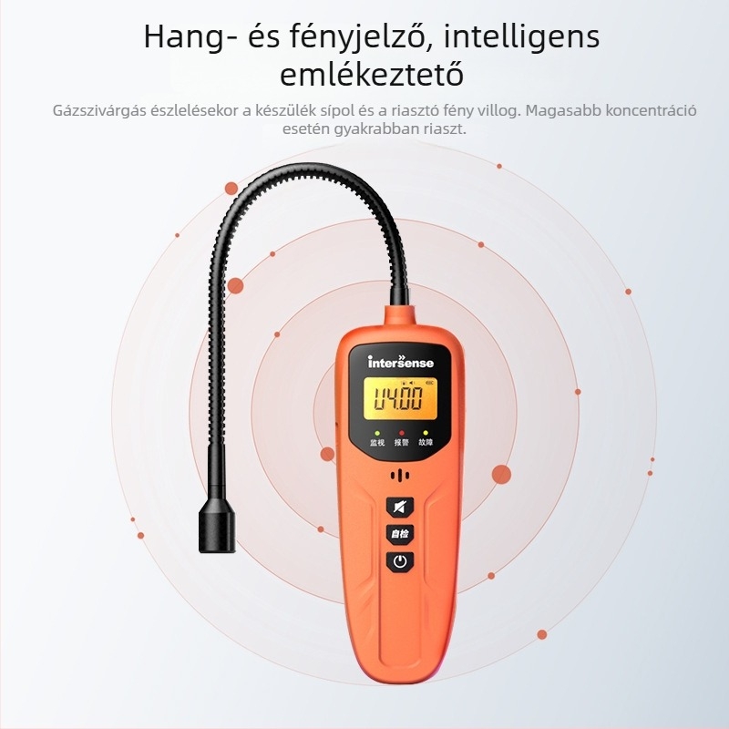 X20 hordozható gyúlékony gázdetektor – 0–9999 ppm tartomány, 1 ppm pontosság, DC24V tápegység, lítium akkumulátor
