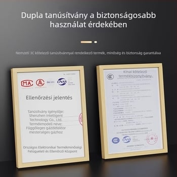 Gázdetektor CO észlelésével és levegő koncentrációjának kijelzővel, hosszú készenléti üzemmóddal a gázszivárgások megelőzésére