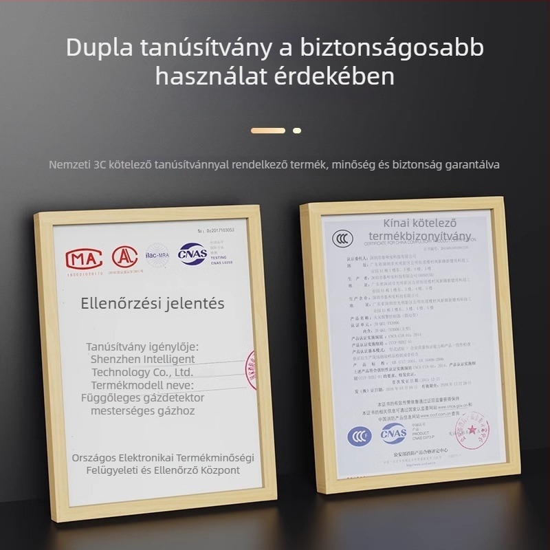 Gázdetektor CO észlelésével és levegő koncentrációjának kijelzővel, hosszú készenléti üzemmóddal a gázszivárgások megelőzésére