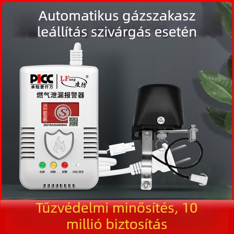 Háztartási gázriasztó – konyha, Model G55, falra szerelhető, AC220V tápegység, vezetékes kommunikáció, hang- és fényriasztás