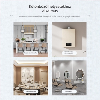 Családi gázriasztó CO/metán detektálással, fix típusú, 20 m²-es hatókör, 8%-os pontosság, 220V