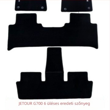 G700 nylon autópadló szőnyegek logónyomtatással, szőnyeges stílus, 6-üléses konfiguráció, testreszabható