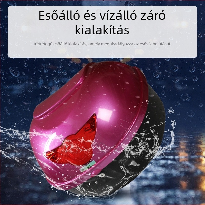 Motorkerékpár tároló doboz, PP anyag, márka Ruyida, modell Ryd-19