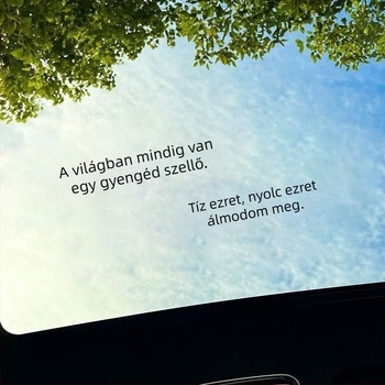 Autó napfénytető feliratok – személyre szabott, kreatív tetődekoráció, hátsó ablak matrica