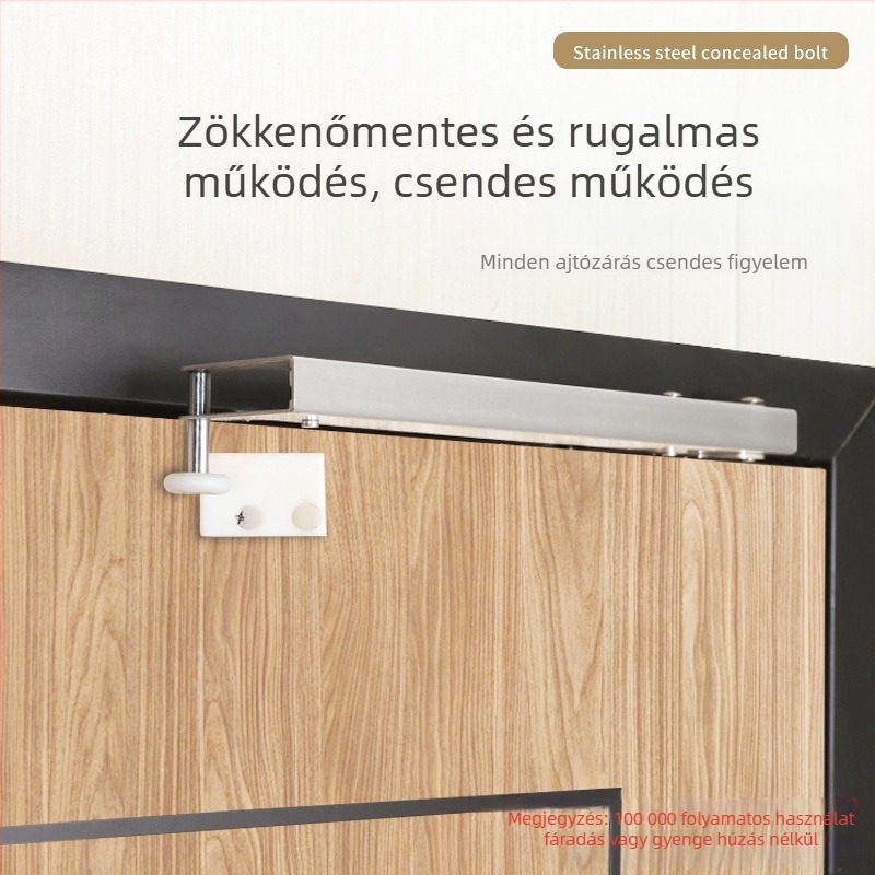 Ajtócsukó kar, 201 rozsdamentes acél, pneumatikus hidraulikus működés, rejtett szerelés, 90°-os pozíció, modern minimalista dizájn