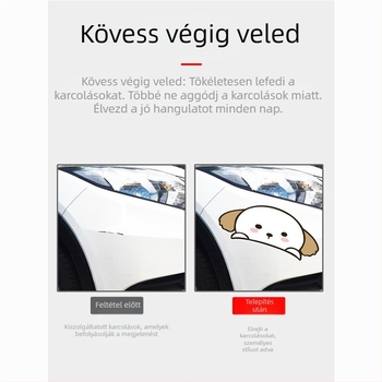 Trans autó karosszéria matrica – lökhárító és kerékív védelme, ragasztásos telepítés