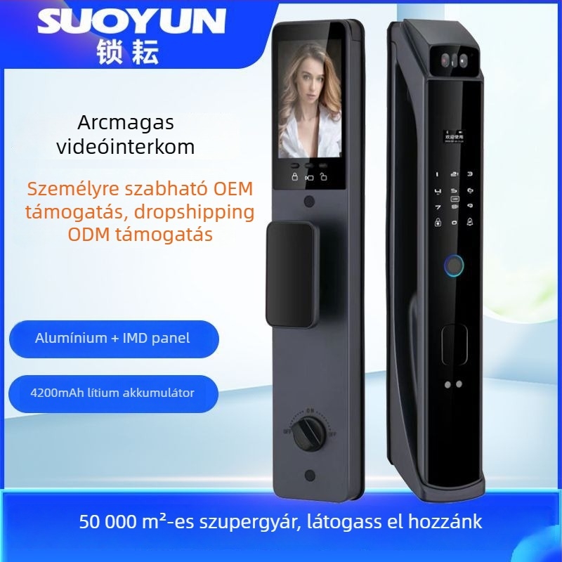 Okos ajtózár ujjlenyomatokkal és jelszóval a házi biztonságért - 300 ujjlenyomat tárolása, kinyitás kevesebb mint 1 s, DC tápegység, modell B87-A