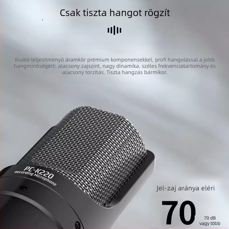 Takstar/Victory PC-K220 kondenzátor mikrofon élő közvetítéshez és számítógépes karaokehoz, modell PC-K220, megjelenés 2018