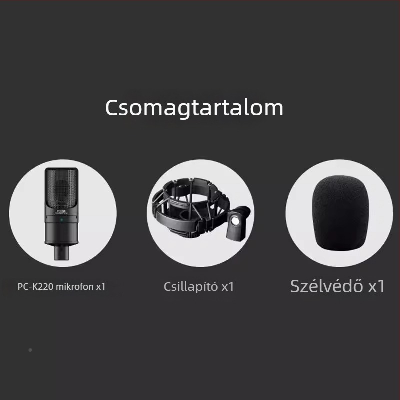 Takstar/Victory PC-K220 kondenzátor mikrofon élő közvetítéshez és számítógépes karaokehoz, modell PC-K220, megjelenés 2018