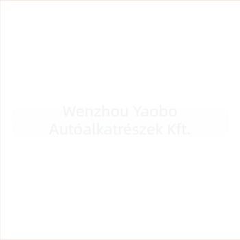B00011299 BAIC EU5 BJ40 gumiabroncsnyomás-érzékelő – TPMS, Yaobo, beépített szerelés, digitális kijelző, magas pontosság