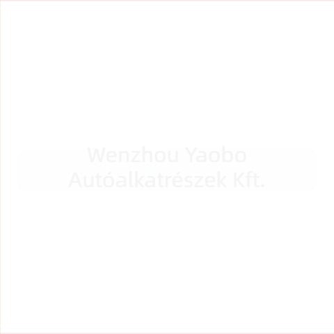 B00011299 BAIC EU5 BJ40 gumiabroncsnyomás-érzékelő – TPMS, Yaobo, beépített szerelés, digitális kijelző, magas pontosság
