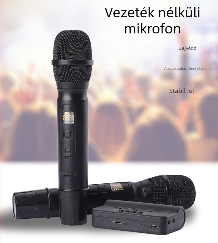 Karaoke hangkártya autó/otthon KTV-hez, Bluetooth 4.2, kettős mikrofon, beépített 1200mAh akkumulátor, frekvencia válasz 40Hz–20kHz, SNR ≥85dB, KMS01, Ruitong