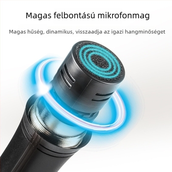 Kétcsatornás vezeték nélküli mikrofonrendszer KTV-hez, konferenciákhoz és a színpadra (frekvencia-tartomány 20 Hz–20 kHz, SNR ≥75 dB, vevővel együtt)