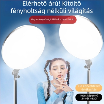 PF-45 Hordozható fotófény élő közvetítéshez, E27 foglalat, 220V