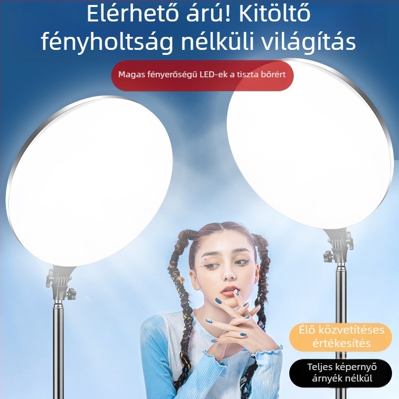 PF-45 Hordozható fotófény élő közvetítéshez, E27 foglalat, 220V