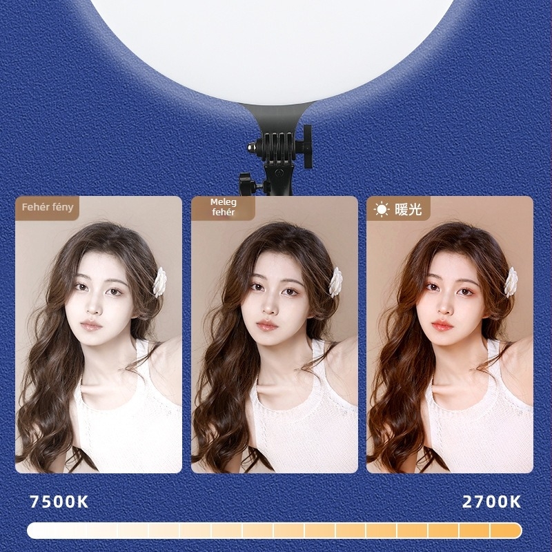 PF-45 Hordozható fotófény élő közvetítéshez, E27 foglalat, 220V