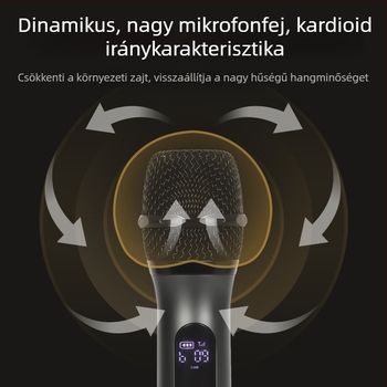 Mindenfémes U-sávos mikrofon KTV-hez és otthoni énekléshez, kompatibil hangkártya-erősítővel