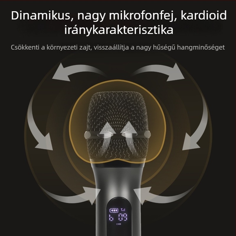 Mindenfémes U-sávos mikrofon KTV-hez és otthoni énekléshez, kompatibil hangkártya-erősítővel