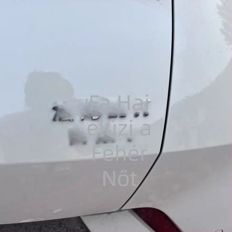BYD Seagull/Seal hátsó matrica – 3D ragasztóval, testre szabható