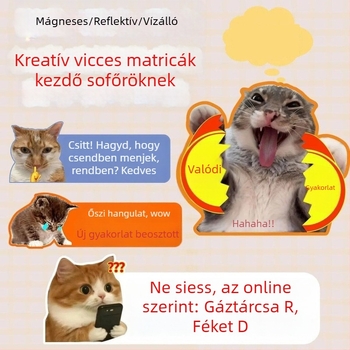 Autó karosszéria matricák szöveges mintával, műanyag anyag, rögzítés szívócsővel, márka Extremely Sharp