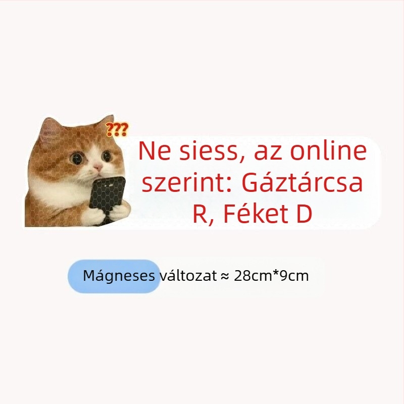 Autó karosszéria matricák szöveges mintával, műanyag anyag, rögzítés szívócsővel, márka Extremely Sharp