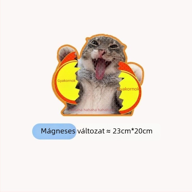 Autó karosszéria matricák szöveges mintával, műanyag anyag, rögzítés szívócsővel, márka Extremely Sharp