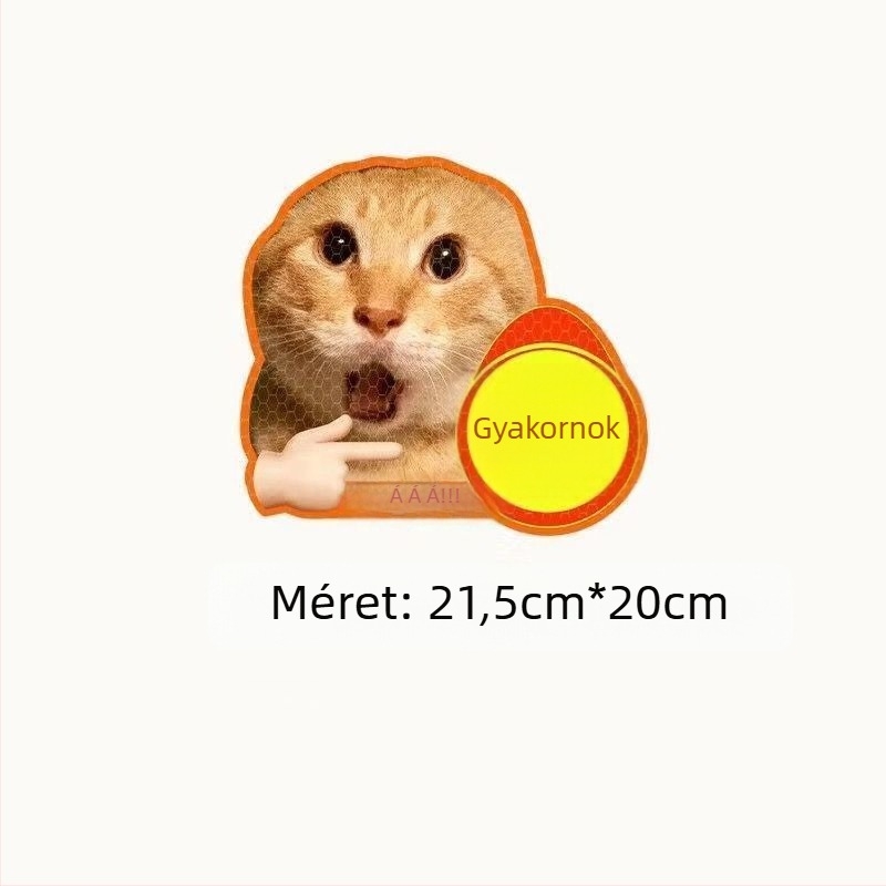 Autó karosszéria matricák szöveges mintával, műanyag anyag, rögzítés szívócsővel, márka Extremely Sharp