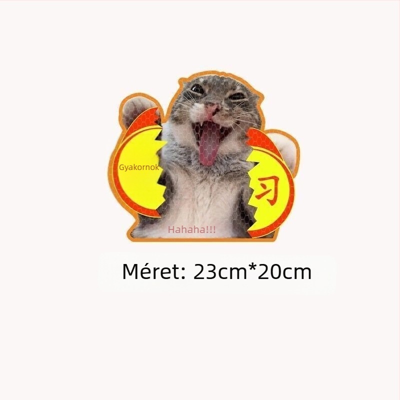 Autó karosszéria matricák szöveges mintával, műanyag anyag, rögzítés szívócsővel, márka Extremely Sharp