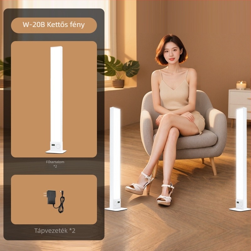 Yongeer W20B professzionális fotózási fény, önálló áramforrással és állítható fényerővel