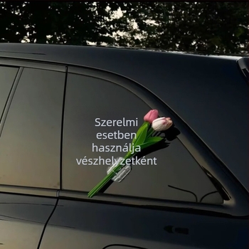 Autó dekorációs matricák tulipáncsokor mintával (Műanyag; Rajzfilm-stílusú; Öntapadós)