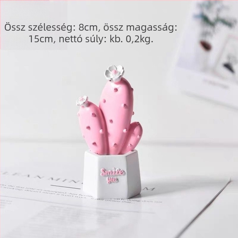 Kaktusz fotózási kellék — asztali dekoráció Instagram stílusban