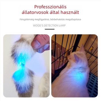 Wood's lamp UV zseblámpa gombás fertőzések detektálására — 5W LED, alumíniumötvözet test, USB töltés, 1500 mAh akkumulátor, hatótávolság 50 m