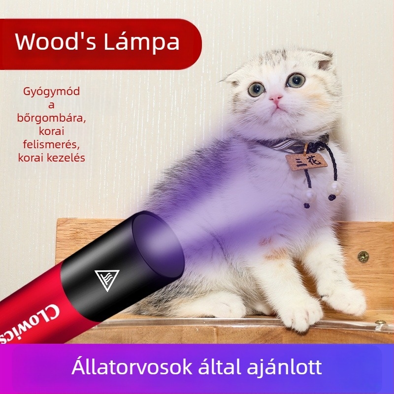 Wood's lamp UV zseblámpa gombás fertőzések detektálására — 5W LED, alumíniumötvözet test, USB töltés, 1500 mAh akkumulátor, hatótávolság 50 m
