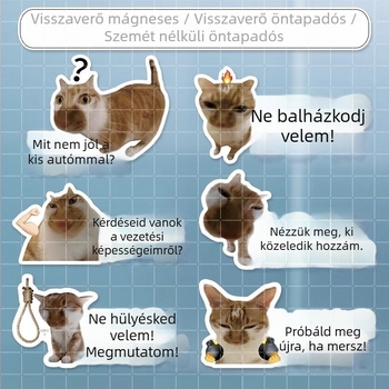 Autó karosszéria matricák meme macska dizájnnal – mókás szövegek, vízálló, hátulra és oldalra alkalmas