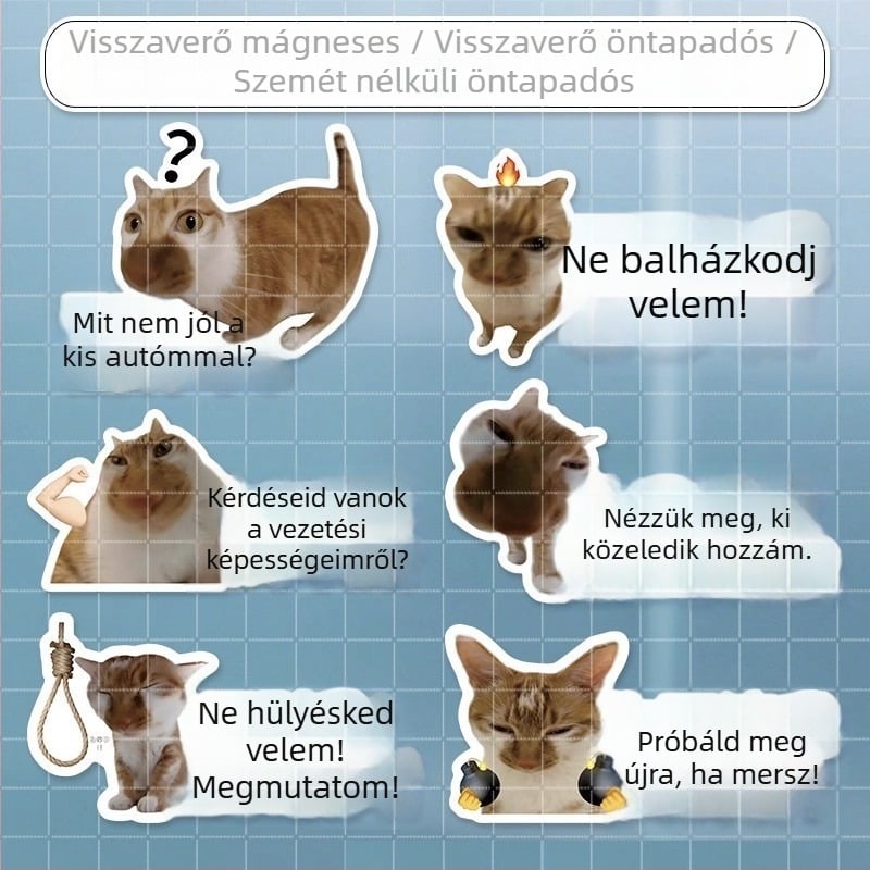 Autó karosszéria matricák meme macska dizájnnal – mókás szövegek, vízálló, hátulra és oldalra alkalmas