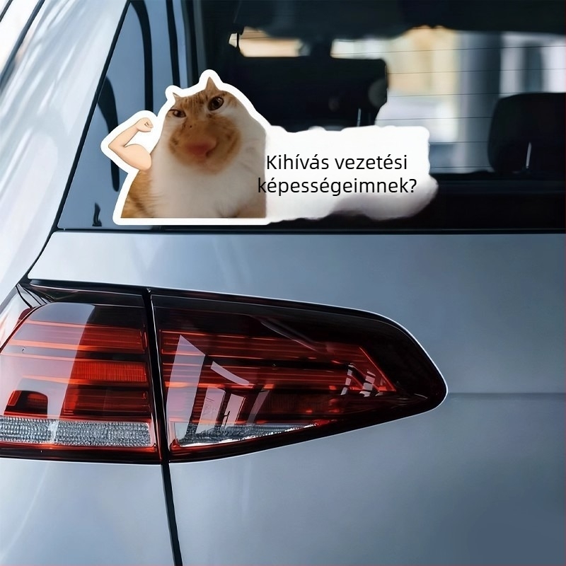 Autó karosszéria matricák meme macska dizájnnal – mókás szövegek, vízálló, hátulra és oldalra alkalmas