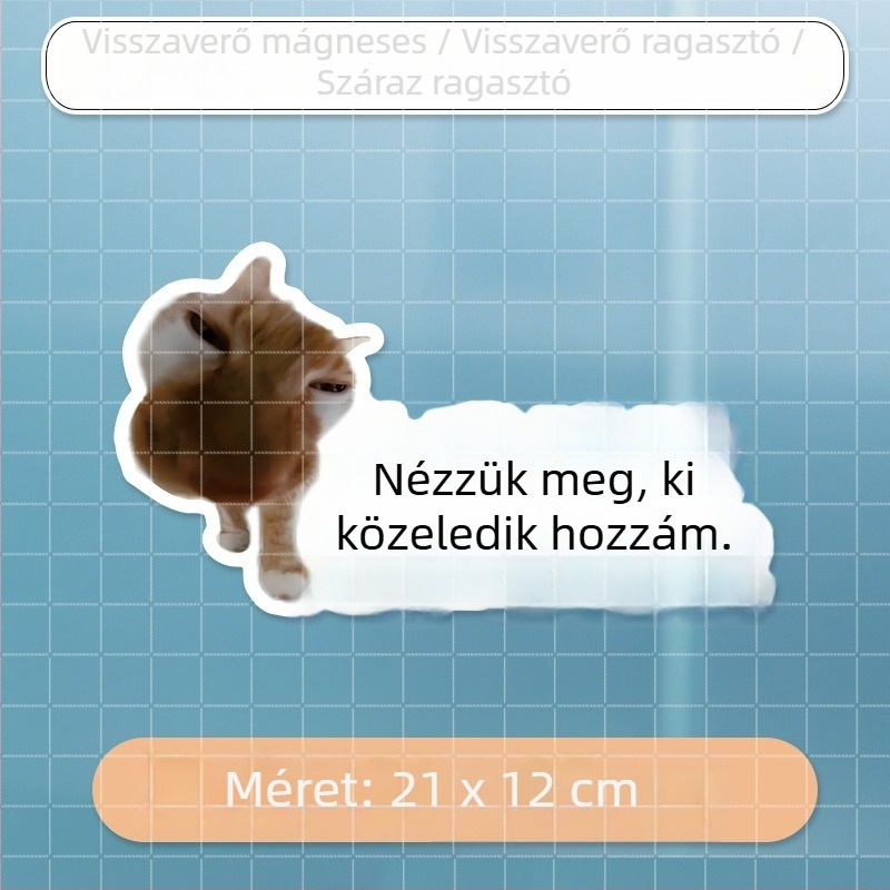 Autó karosszéria matricák meme macska dizájnnal – mókás szövegek, vízálló, hátulra és oldalra alkalmas