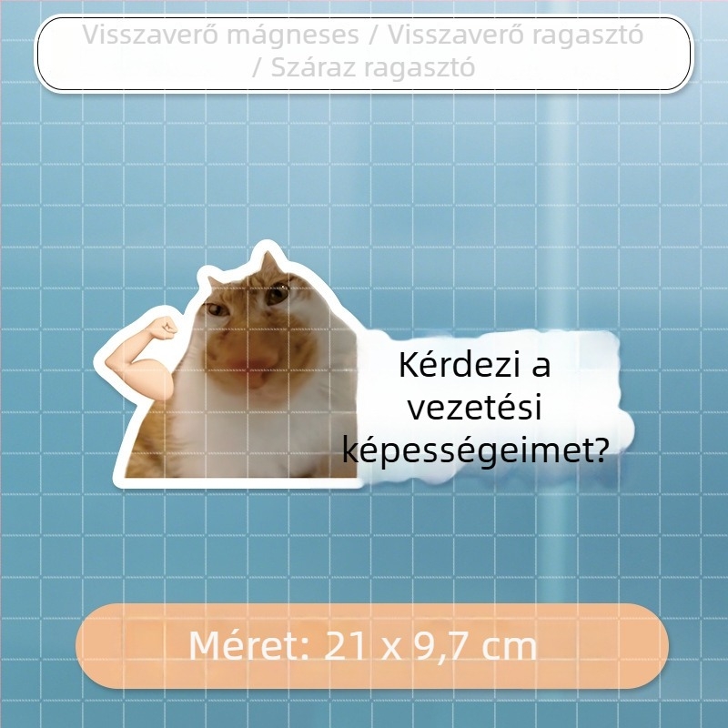 Autó karosszéria matricák meme macska dizájnnal – mókás szövegek, vízálló, hátulra és oldalra alkalmas