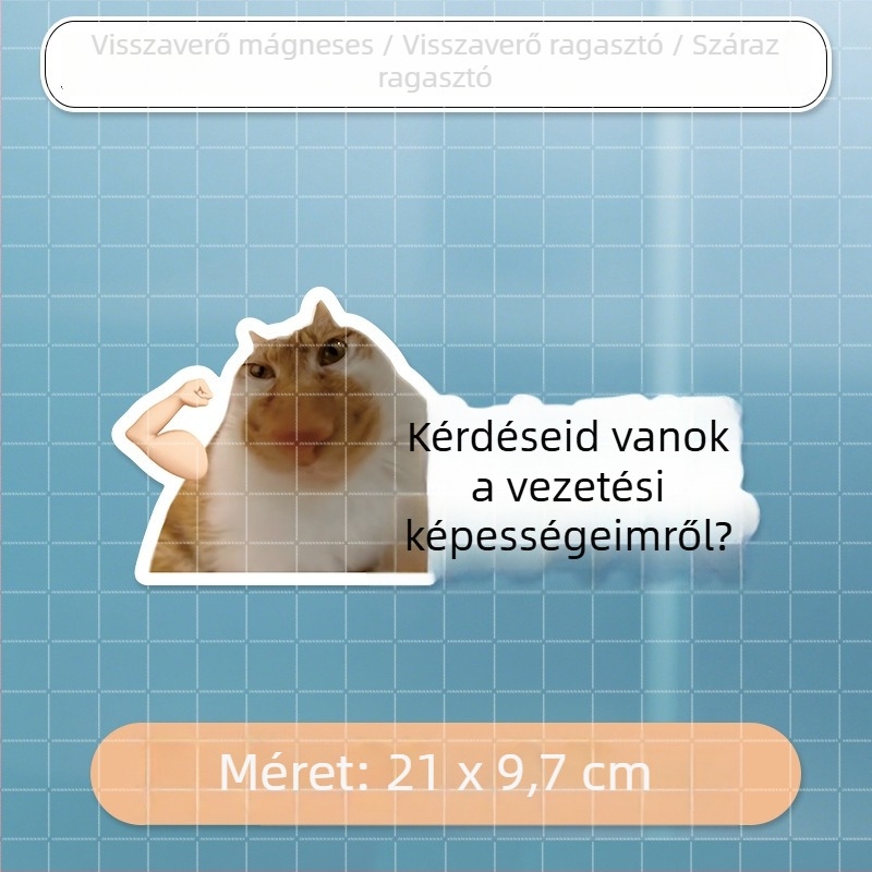 Autó karosszéria matricák meme macska dizájnnal – mókás szövegek, vízálló, hátulra és oldalra alkalmas