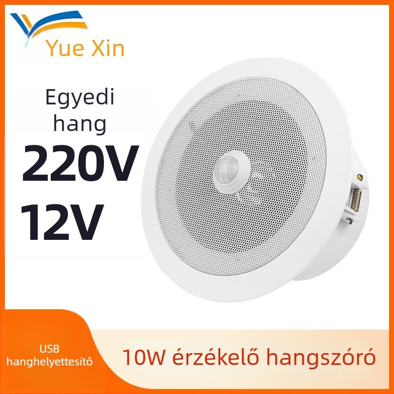 Infravörös riasztóközpont Yuexin YX160, DC12-24V, testreszabható hang