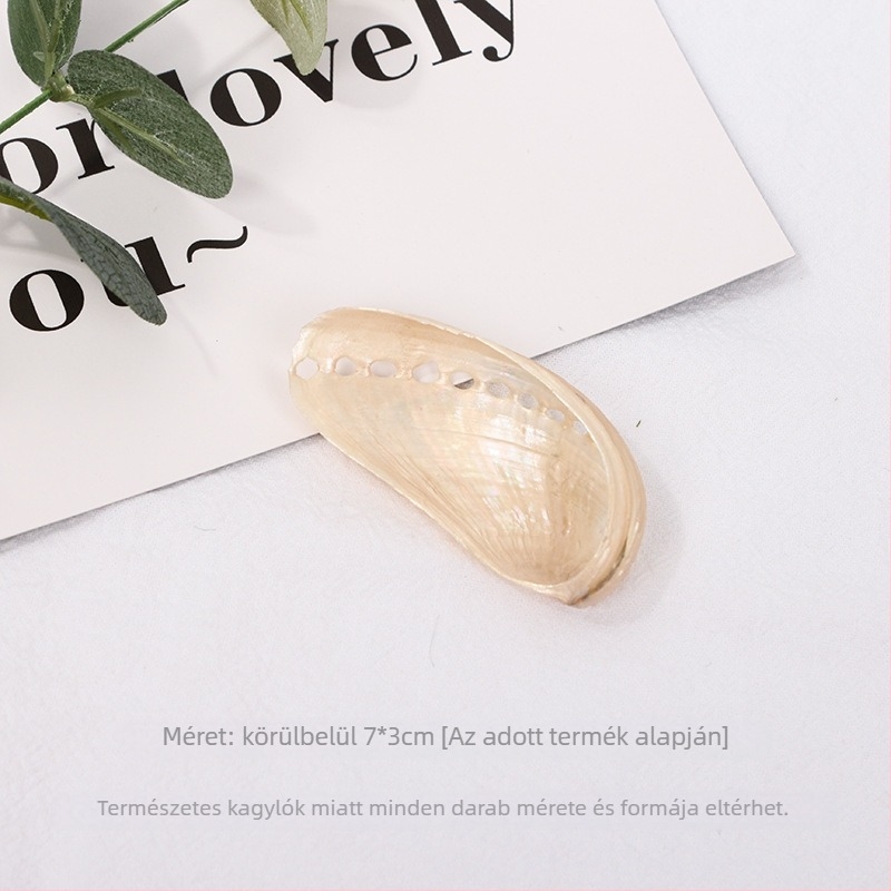 Természetes korallból készült háttérfal termékfotózáshoz | Mirror Shadow Modell 001 | 2021