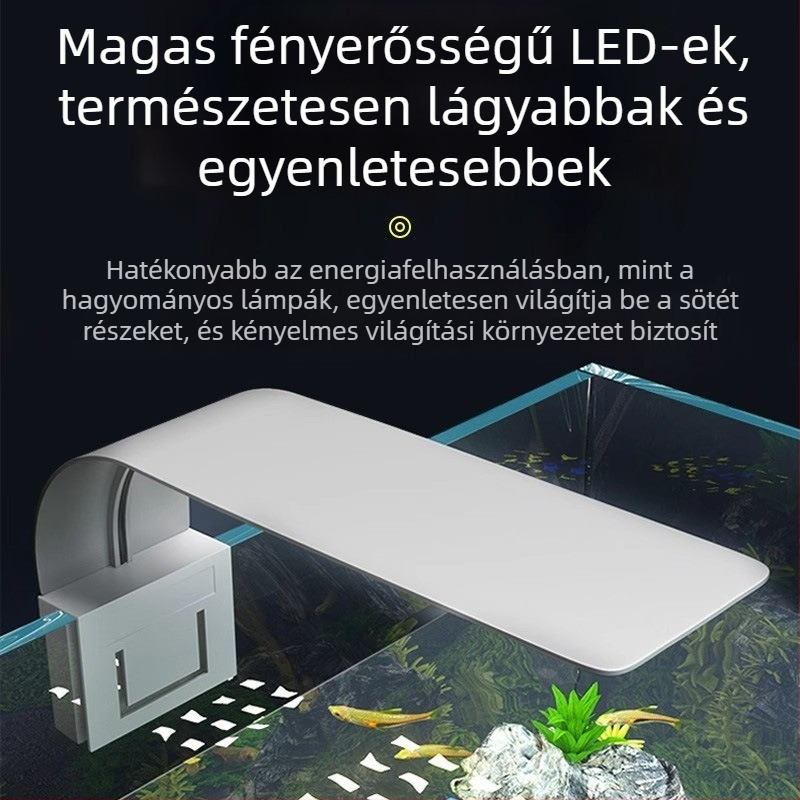LED Clip lámpa akváriumhoz – vékony, mini LED növényekhez (Márka: Rong xingda; Származási hely: Kína; Funkció: Világítás; Termékkód: Clip light)