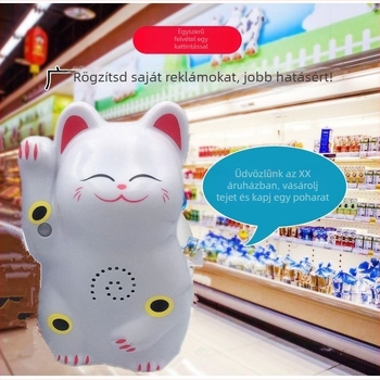 Indukciós ajtócsengő infravörös riasztással és felvételi lehetőséggel; modell 024; kettős energiaellátás (akkumulátor és hálózati ellátás); 4,5V; testreszabható csengőhang