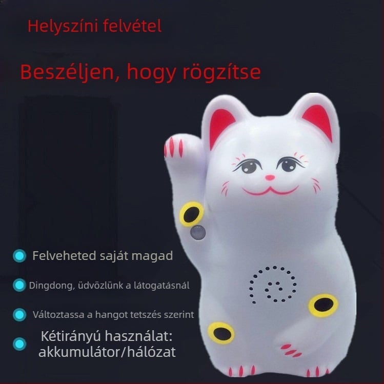 Indukciós ajtócsengő infravörös riasztással és felvételi lehetőséggel; modell 024; kettős energiaellátás (akkumulátor és hálózati ellátás); 4,5V; testreszabható csengőhang