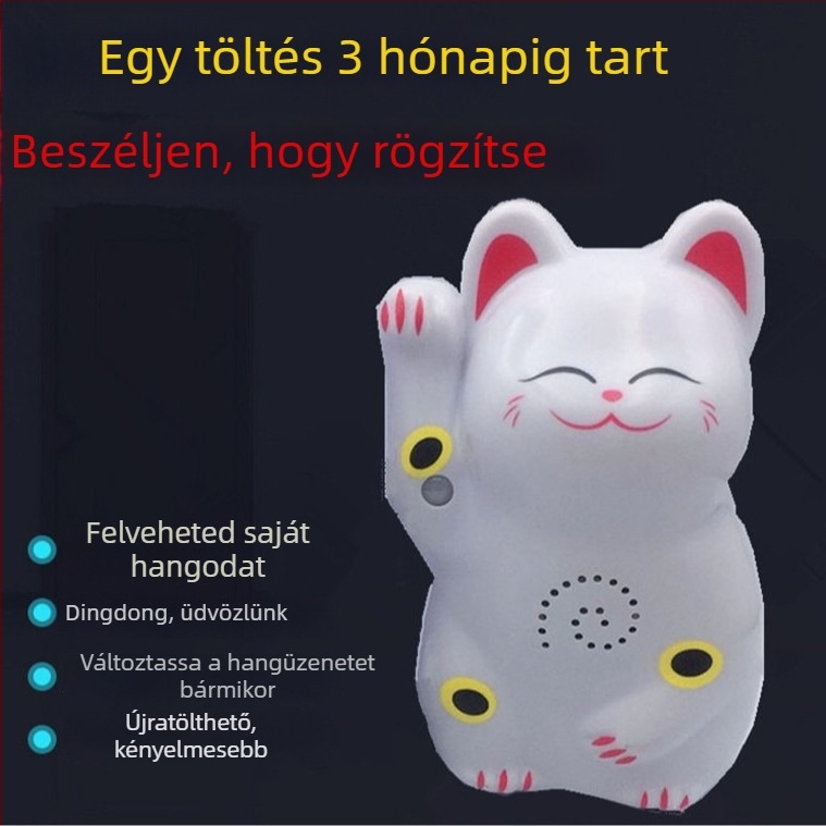 Indukciós ajtócsengő infravörös riasztással és felvételi lehetőséggel; modell 024; kettős energiaellátás (akkumulátor és hálózati ellátás); 4,5V; testreszabható csengőhang
