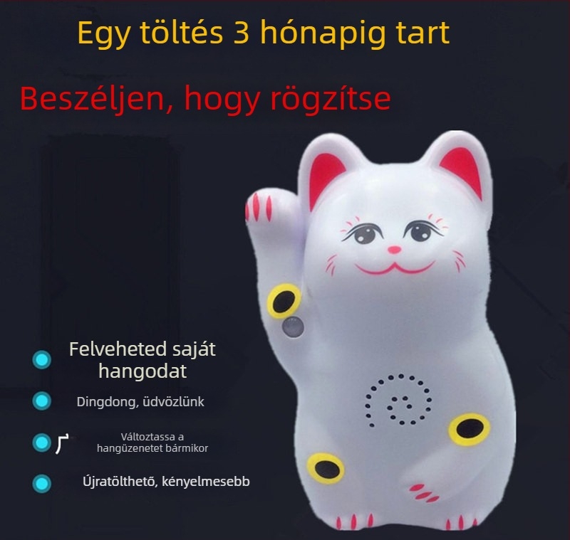 Indukciós ajtócsengő infravörös riasztással és felvételi lehetőséggel; modell 024; kettős energiaellátás (akkumulátor és hálózati ellátás); 4,5V; testreszabható csengőhang
